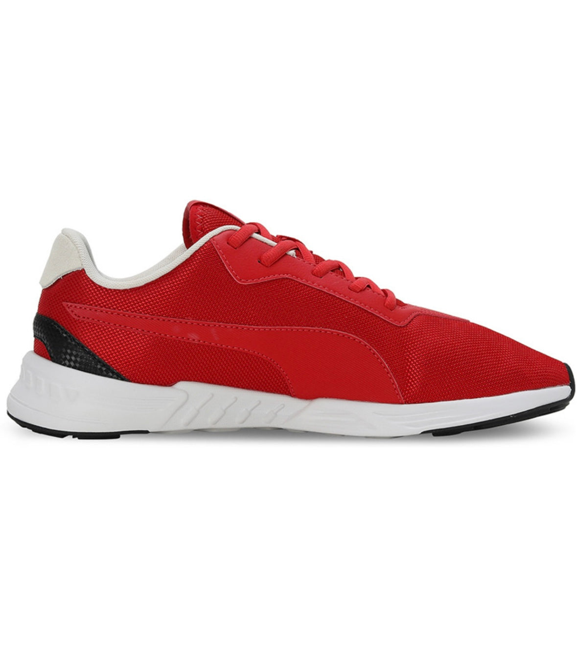 Tiburion Sneakers For Men
