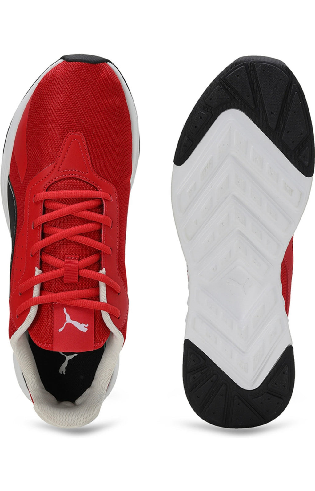 Tiburion Sneakers For Men