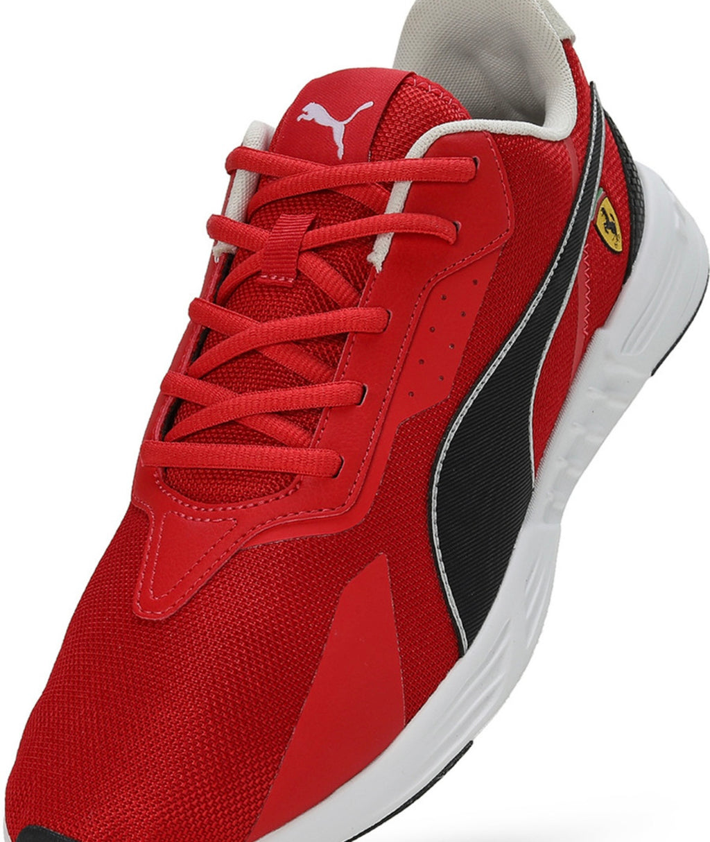 Tiburion Sneakers For Men